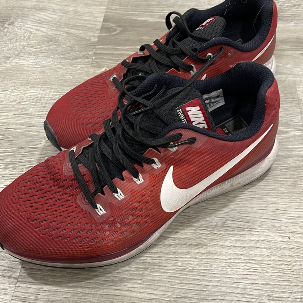 Nike Pegasus Maroon
